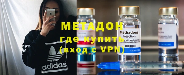 индика Арсеньев