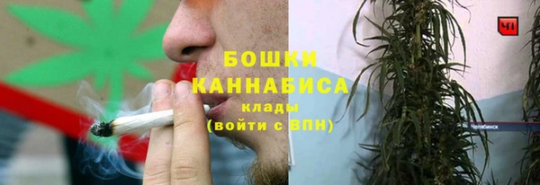 индика Арсеньев