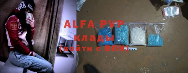 индика Арсеньев