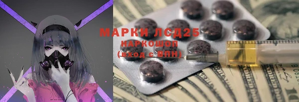 индика Арсеньев