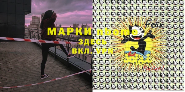 индика Арсеньев