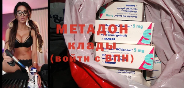 индика Арсеньев