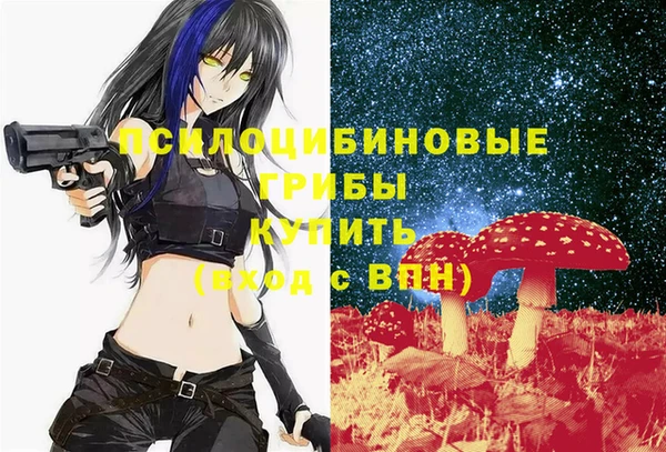 индика Арсеньев